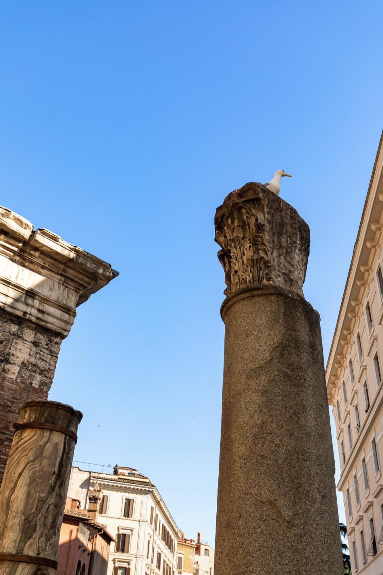 Appartamento Campitelli 9 - Loft In Ancient Roma Esterno foto